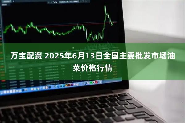 万宝配资 2025年6月13日全国主要批发市场油菜价格行情