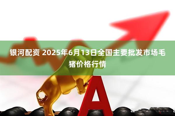 银河配资 2025年6月13日全国主要批发市场毛猪价格行情