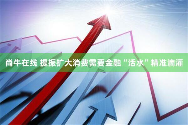 尚牛在线 提振扩大消费需要金融“活水”精准滴灌