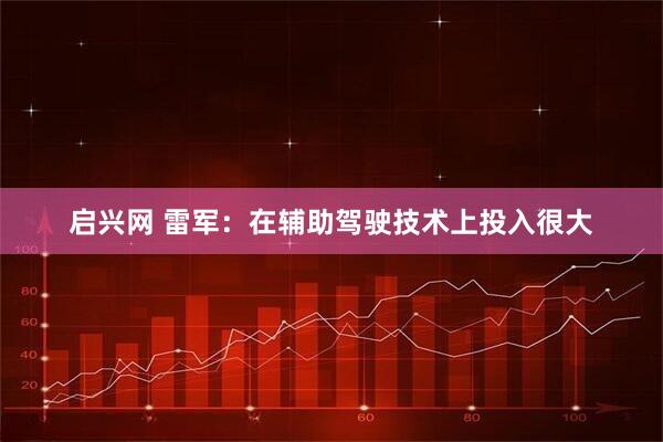 启兴网 雷军：在辅助驾驶技术上投入很大